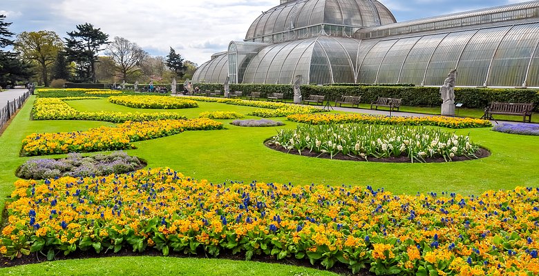 В Kew Gardens пройдет фестиваль японской культуры