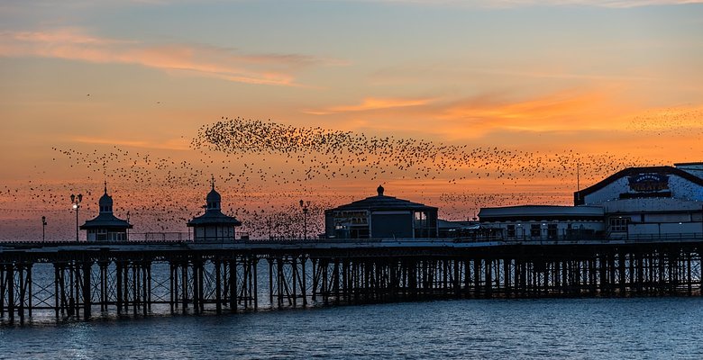  Paul Berry / Unsplash