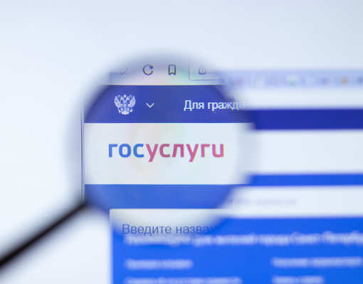 На российском портале «Госуслуги» появился раздел для иностранцев