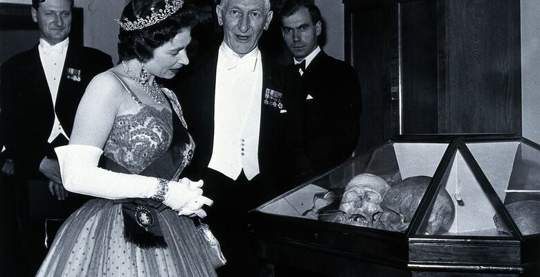 Фото: commons.wikimedia.org