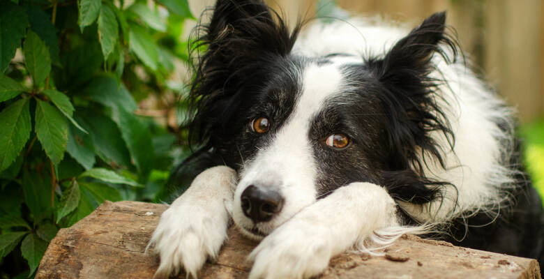 Фото: depositphotos.com