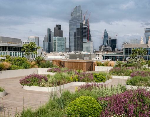 London Open Gardens: ежегодный фестиваль возвращается в столицу