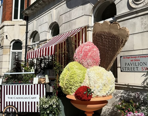 Chelsea in Bloom: в Лондоне стартовал крупнейший фестиваль цветочного искусства