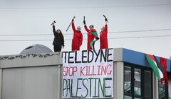 Глава британского МВД предложила внести Palestine Action в список террористических организаций