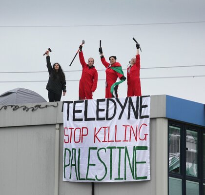 Глава британского МВД предложила внести Palestine Action в список террористических организаций