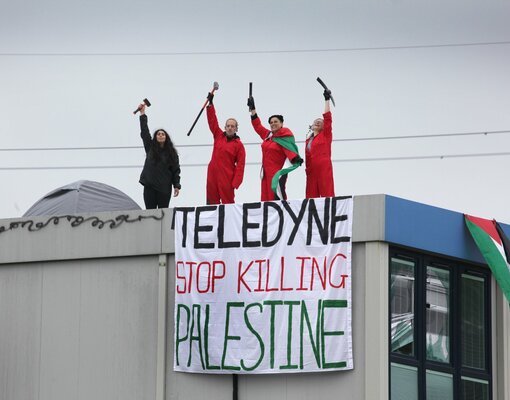 Глава британского МВД предложила внести Palestine Action в список террористических организаций