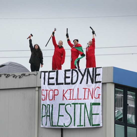 Глава британского МВД предложила внести Palestine Action в список террористических организаций