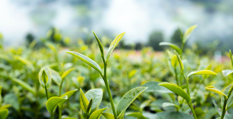 Фото: 123rf.com