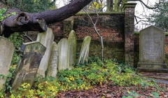 Родные имена: некрополист Клемент Таралевич — об английских кладбищах и могилах «наших»