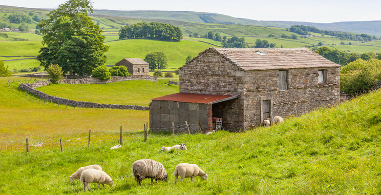 Йоркшир-Дейлс, Англия. Фото: 123rf.com