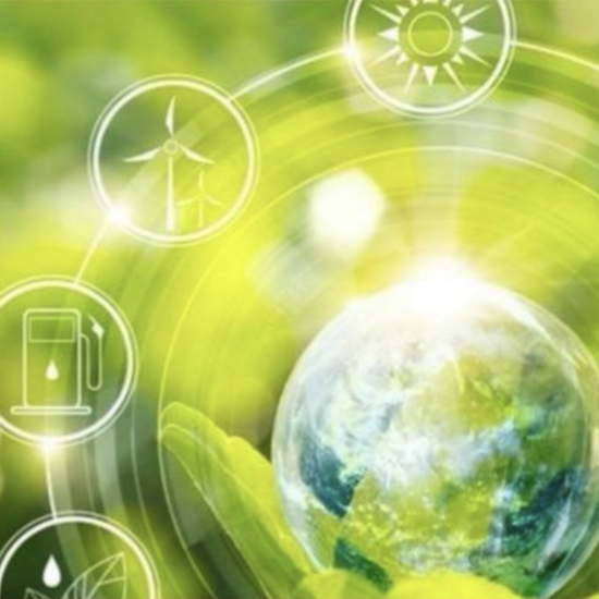 Русский язык за рубежом: педагогическая конференция в Лондоне