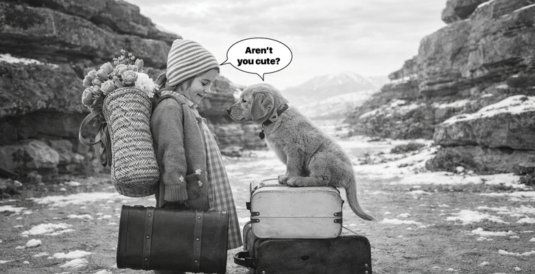 Слова, убежавшие от исходного значения. Тест о том, как британцы меняют свой язык