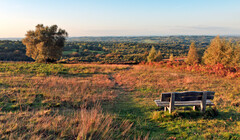 Восточный Сассекс вошел в список лучших мест для путешествий — благодаря наследию Алана Александра Милна