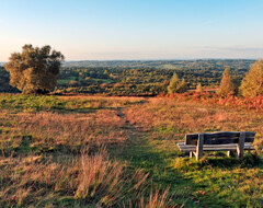 Восточный Сассекс вошел в список лучших мест для путешествий — благодаря наследию Алана Александра Милна