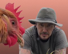 Красивые глаза, дисциплина и настойчивость. Тест о Дэвиде Бекхэме