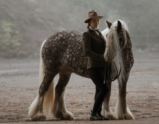 К году Лошади по китайскому календарю: как устроена жизнь владельца лошадей