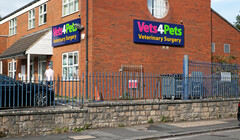 Сначала прайс: британских ветеринаров обязали раскрывать стоимость услуг