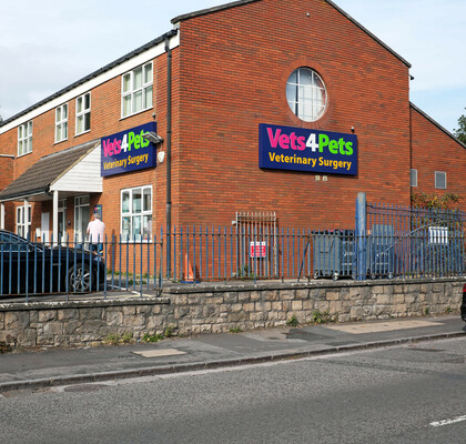 Сначала прайс: британских ветеринаров обязали раскрывать стоимость услуг