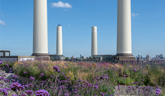 От укромных оазисов до вершин ландшафтного дизайна: в столице пройдет фестиваль London Open Gardens