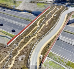 Для змей, жаб и барсуков: в графстве Суррей появится зеленый мост для диких животных