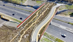 Для змей, жаб и барсуков: в графстве Суррей появится зеленый мост для диких животных