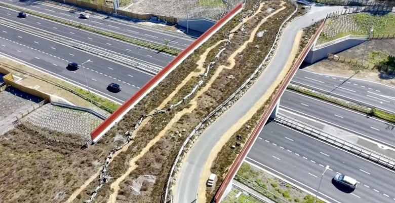 Зеленый мост Кокроу. Фото: Philip Davies/Bav Media