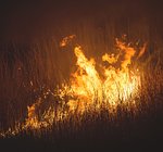 Правительство Великобритании задействует армию для борьбы с природными пожарами