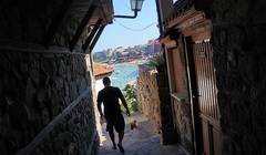 Квартира с видом на евро