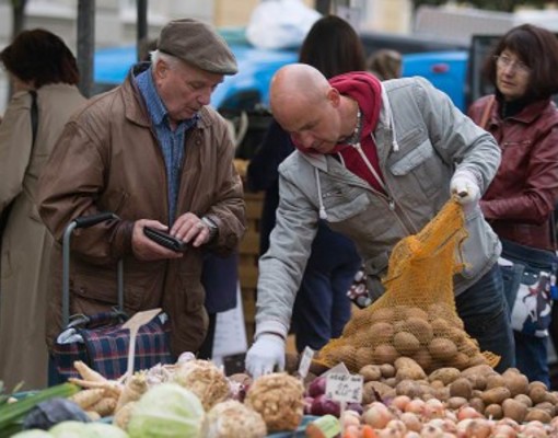 В странах ОЭСР добровольное страхование становится популярнее
