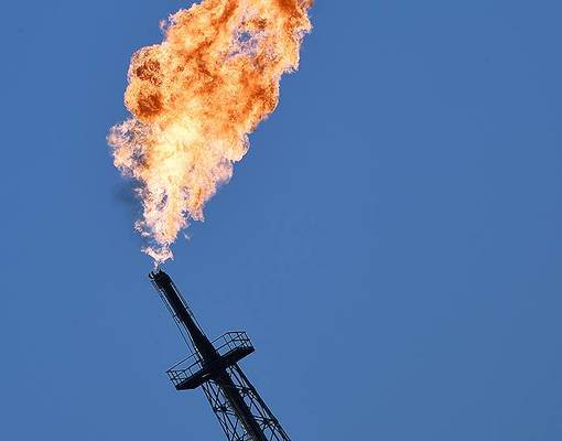 У нефти прибавилось союзников
