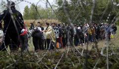 Венгры дадут ответ Европе