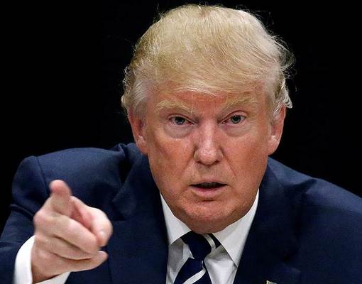 Владимир Путин увидит Дональда Трампа