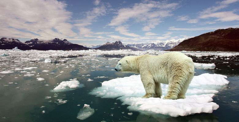Фото: Reuters
