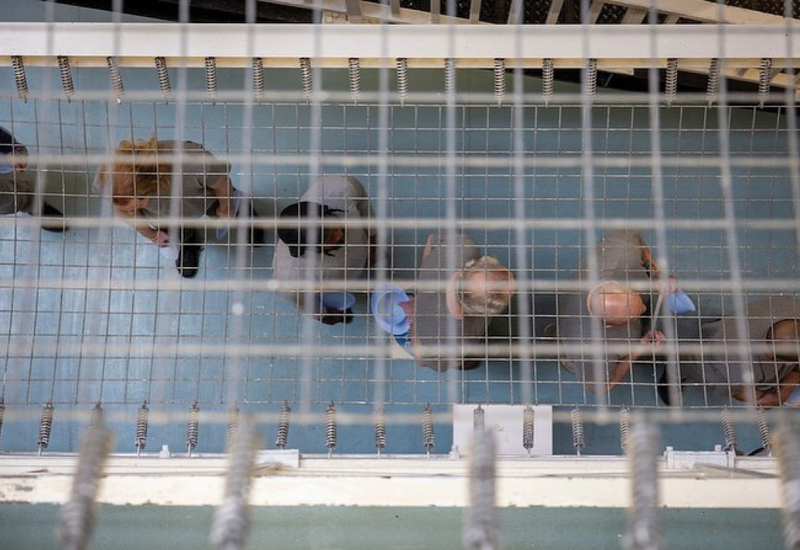 Фото: instagram.com/foodbehindbars