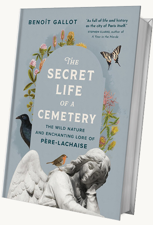 Фото: amazon.co.uk