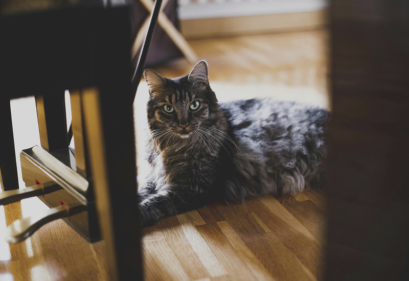 Фото: unsplash.com