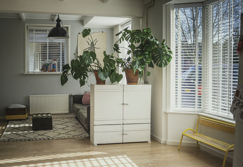 Фото: unsplash.com