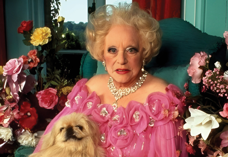 Фото:  instagram.com/noblebloodtales