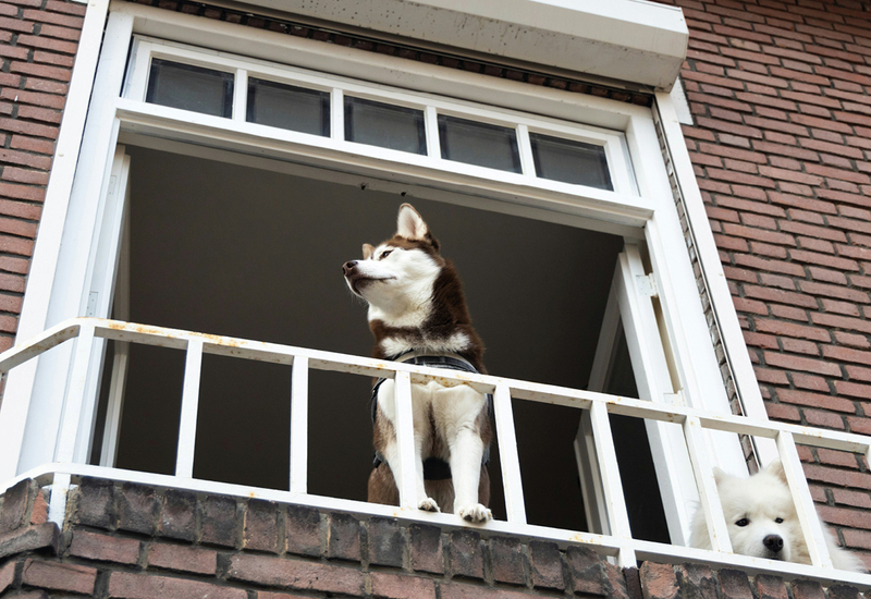 Фото: unsplash.com