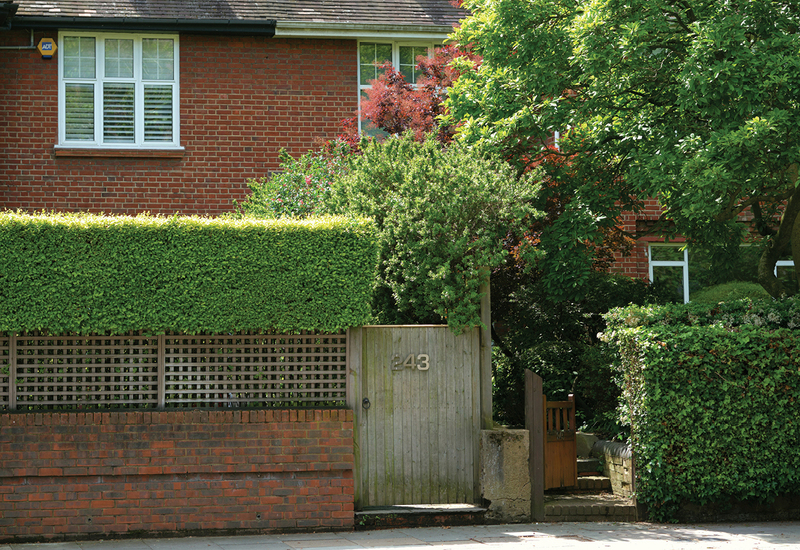 Фото: unsplash.com