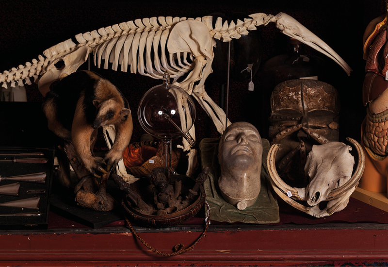 Фото: thelasttuesdaysociety.org