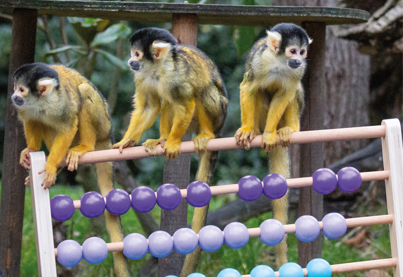 Фото: facebook.com/zsllondonzoo