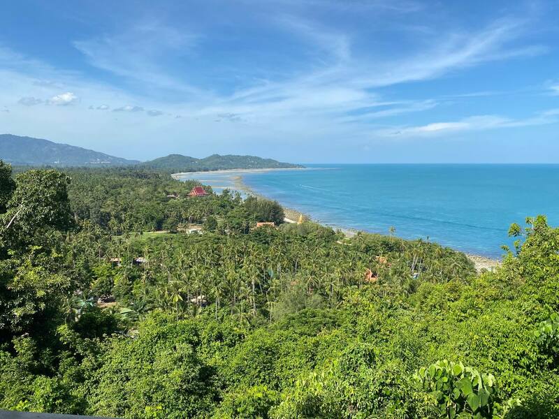 Фото: Мария Ушакова