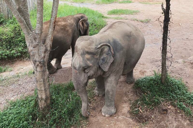 Фото: Мария Ушакова