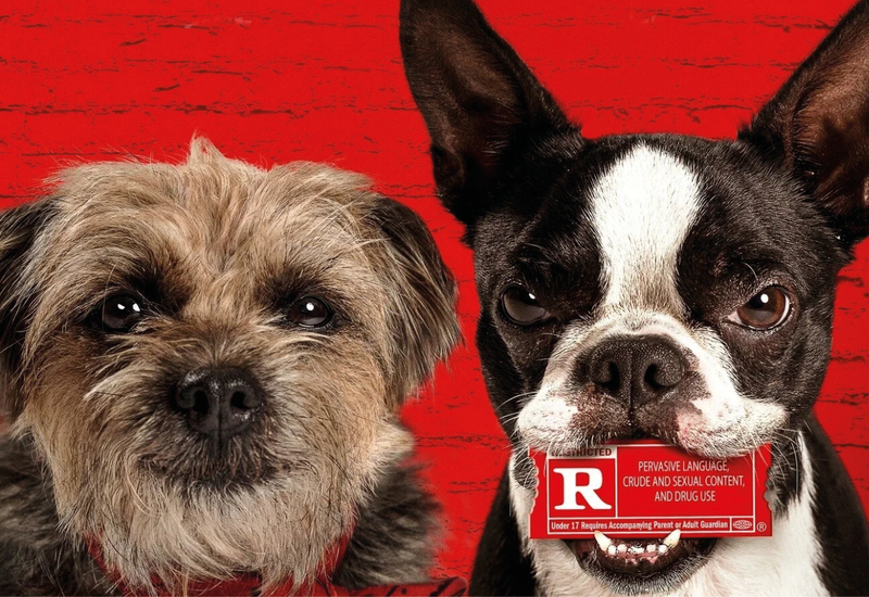 Фото: kinopoisk.ru