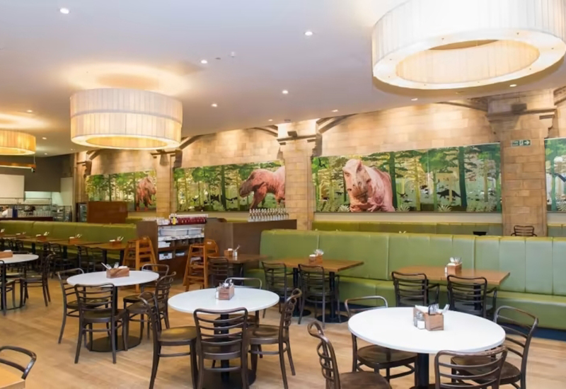 Фото: benugo.com