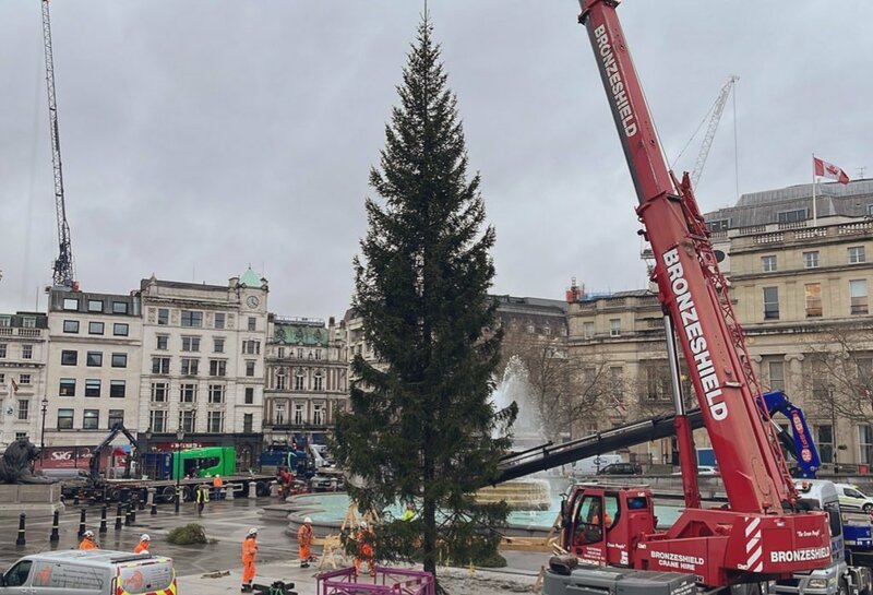 Фото: twitter.com/trafalgartree