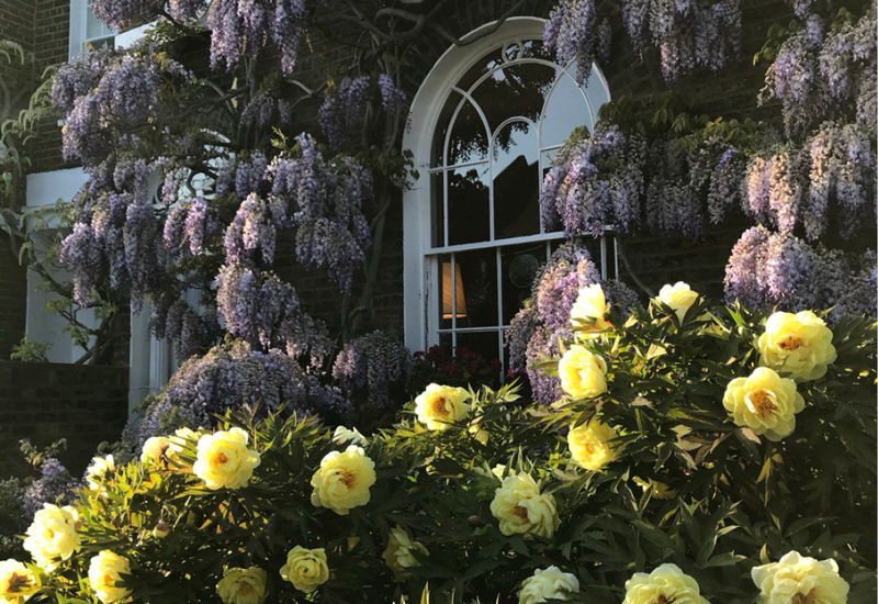 Район, где живет Катя