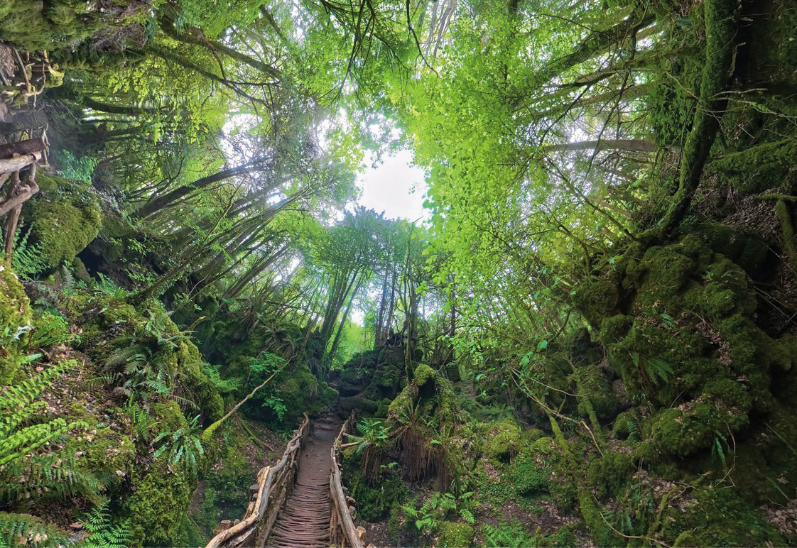 Фото: facebook.com/Puzzlewood